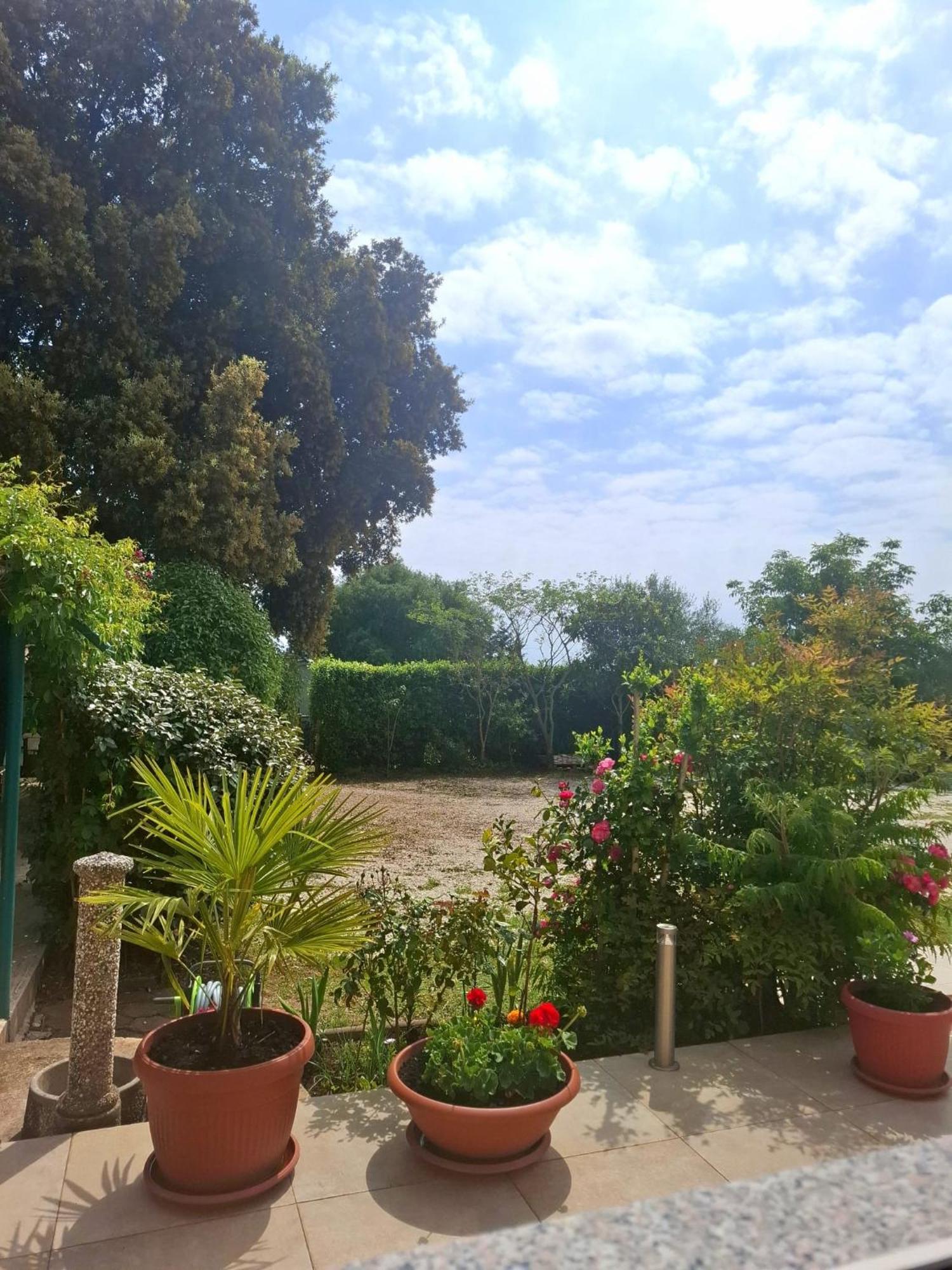 Apartman Melita Galizana Экстерьер фото